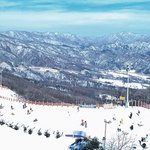 스키장 주변 맛집, 전국 17개 스키장 주변