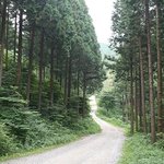 서울/경기 등산하기 좋은 산 총정리
