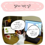 [<b>칼리</b>'s diary] <b>칼리</b>의 착한일?