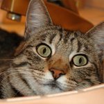 돈으로하는사랑이 가장쉬운사랑입니다.(펌)