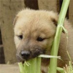 요즘 판에 훈남<b>훈</b><b>녀</b> 데려가라는 거 많넹..