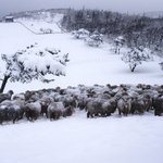 겨울에 떠나기 좋은 겨울여행지