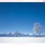 머리부터 <b>발끝</b>까지 겨울철 필수 아이템 정복기!!