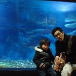 유모차끌고 코엑스 아쿠아리움을 다녀왔어요. 바다체험!
