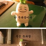 신난다 <b>야호</b> 고삼을즐기는법