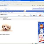 도를 넘은...<b>디시</b>인 사이드 갤러리의 글...진짜 어이가 없네요