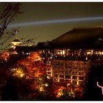 y의 좌충우돌 일본 유학기 9