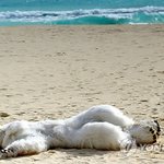 안녕하세요 녹색 지구에 관한 글입니다! 한번 생각해보세요~