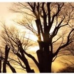 양평여행 총정리, 대한민국 정중앙 가슴이 확트이는 여행