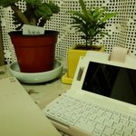 전자사전의 새 친구를 찾습니다.