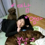 사진有) 제 동생들 장가보내고싶어여ㅜㅜㅜㅜㅜㅜ