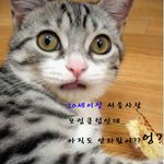 이런거 올려도 되는가 <b>보르</b>겠네요....^^;;;