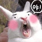 나만의  '심리학'  으로 보는 연애