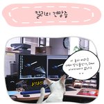 [<b>칼리</b>'s diary] <b>칼리</b>의 건망증