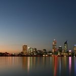 호주에서 만난 꽃....거지....? ㅠㅠ ♨