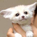<b>막</b><b>막</b> 너무 많고 <b>글</b>앵 ♡