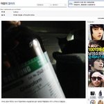 고양이 차차 그후 또 글올라왔어요 꼭 퍼트려 주세요!