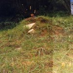 <b>벌초</b>할때 촬영한 사진인데 귀신같은게 찍혔습니다.... ㅎㄷㄷㄷㄷㄷㄷ...