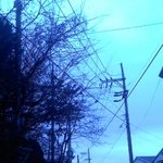 사진有)외국인노동자들의 충격적인 만행 한국인이라면 꼭좀봐주세요!...