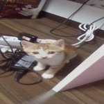 (사진多)날 행님으로 모시던 깡패 동생이☞ ☜**3