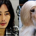 이필립 <b>처럼</b> 생긴개..ㅎㅎ