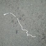 <b>런던</b>픽시 "절대" 사지 마세요!