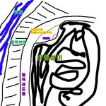 <실화> 퍅셔내- 주차장의 광녀(狂女) (2)