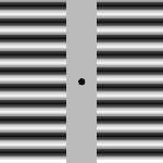 놀라운 <b>착시</b>현상의 세계