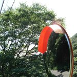 <실화> 퍅셔내- 주차장의 광녀(狂女) (4)