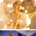 골드미스터와 골드미스를 위해서!