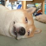 모두 <b>바이바이</b>