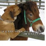 하루를 시작해볼까??