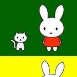 헐 <b>미피</b>의 실체 (심장 약한분들 ㄴ)