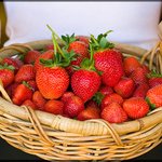 [호주워킹홀리데이!] 호주 농장에 대한 진실........? ^...