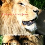 위대한<b>탄생</b> 방시혁이 오디션볼때 남녀 차이