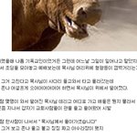 <b>신앙</b>류 최강!!!