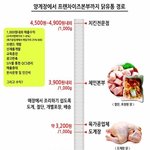 프랜차이즈에 반박하는 네 가지 이유