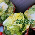 친정엄마의 모기장이야기..[울엄마가 모기장을 뚫고 나왔어요]