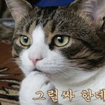 <b>제법</b>