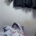 김치가 비싸서 못사먹겠어요..