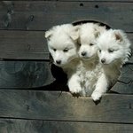 급 떠나는 겨울 여행 <b>필수</b> 아이템!!