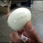 (재밌는 사진) * 헉! 계란에 <b>글씨</b>가? *