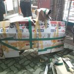 이런손님 본적있나요(사진있음)