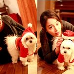 애견과 함께 x-<b>mas</b> 준비하는 이민정