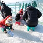 얼음과 눈꽃의 향연 강원도 겨울 축제