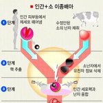 이러다가 좀비 탄생??
