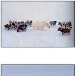내가 <b>순</b><b>딩</b>이처럼 보이니깐 존나 만만하냐?아오 빡쳐 ㅆ1바 그래 덤벼