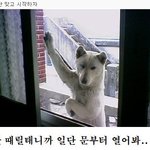 ★★★★[부산] 크리스마스 <b>이브</b>에 이거 보고 있는 사람? ========
