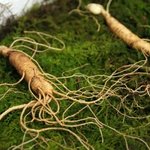 나님 체력<b>방전</b>인가바-_ㅋㅋㅋ