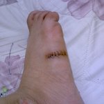 쑤냥's 큐티 라이프-3